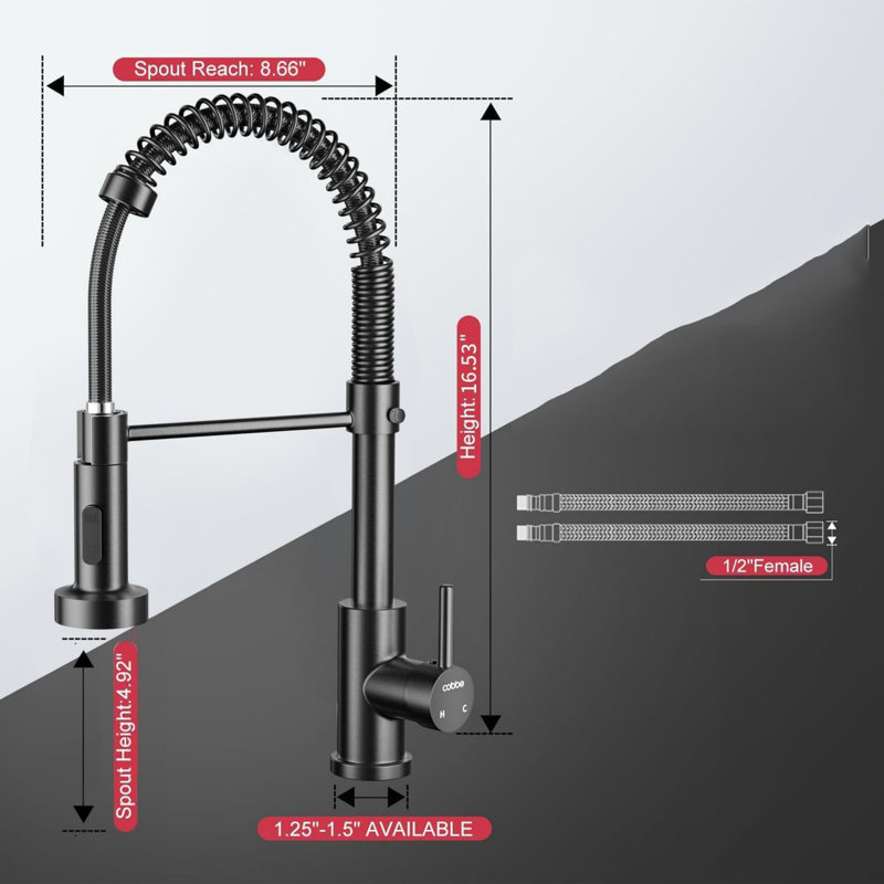 Brayden Studio Kitchen Faucet