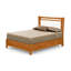 Monterey Leather Solid Wood Storage Bed-29113058-29113062-29113066