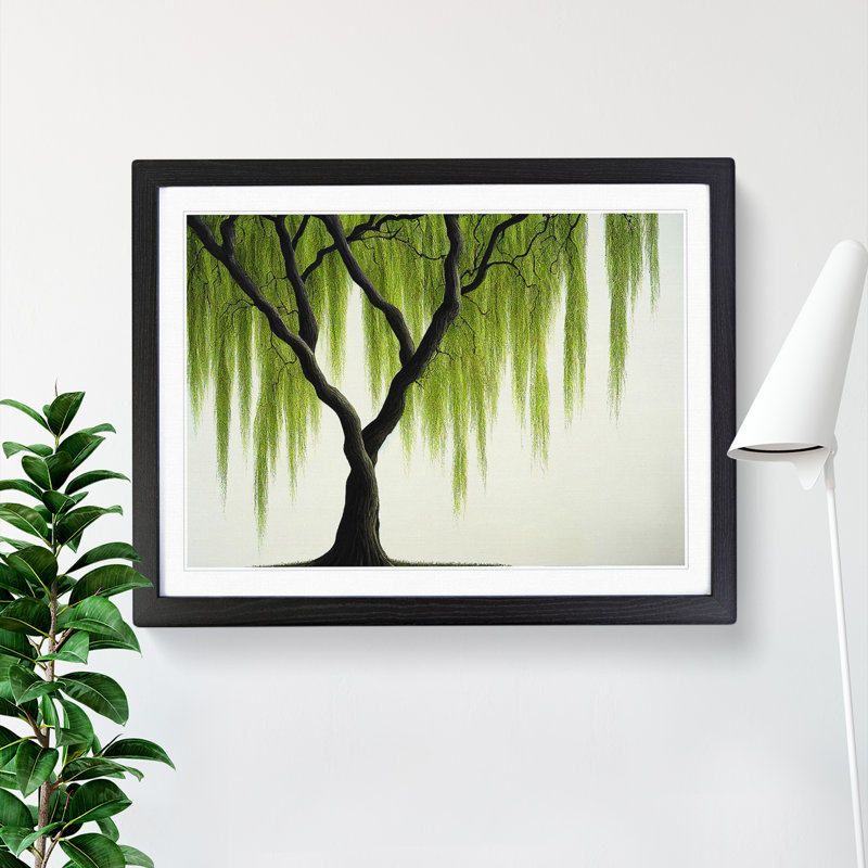 Irresistible Weeping Willow Tree - Framed Print, Black, 34cm H x 46cm W x 2cm D