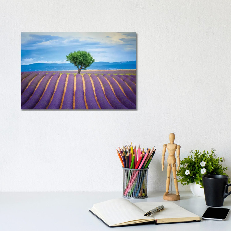 Europe, France, Provence, Valensole Plateau. Field Of Lavender And Tree. by Jaynes Gallery - Wrapped Canvas Print