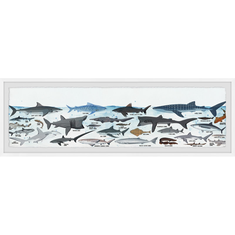 Sharks of the World par Marmont Hill - cadre encadré, impression panoramique, H 15 po x l 45 po x P 1,5 po