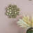 D10x1.6" Succulent Wall Plaque