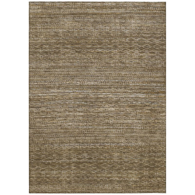Machine Washable Indoor/Outdoor Colman ACN2150 Striped Rug