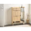 10 Pair Shoe Storage Cabinet