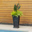 Pot à fleurs en polyéthylène Anastasiya-663387118