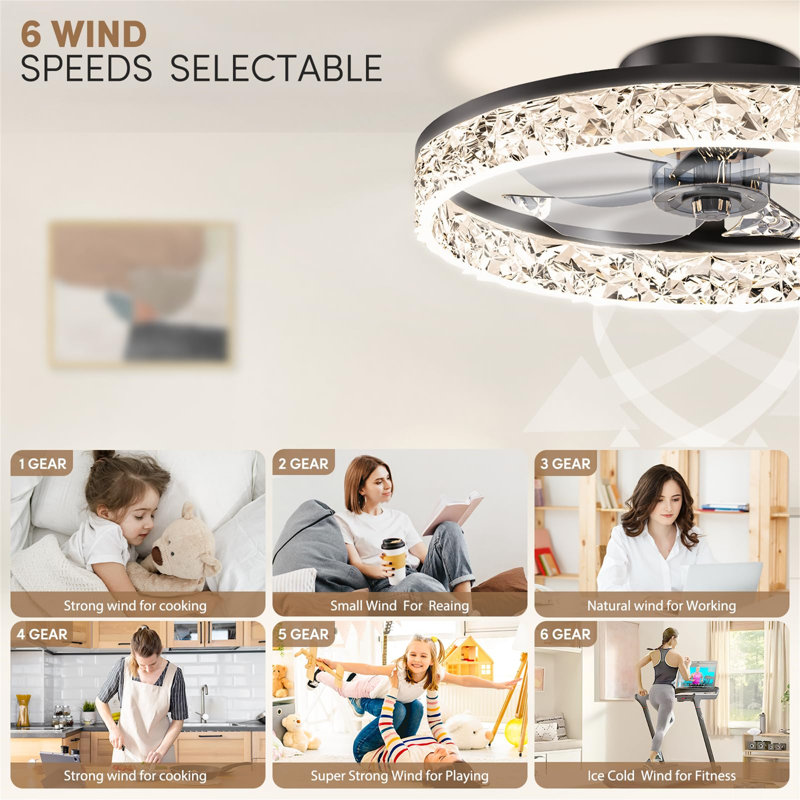 Ceiling Fan, Black