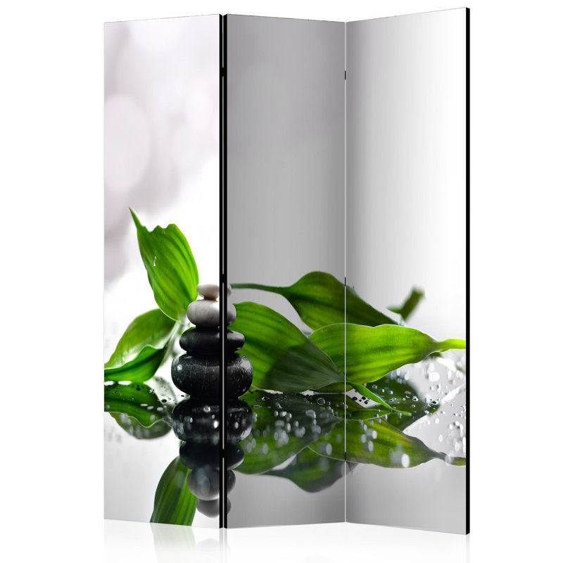 Miramonte Solid Wood Folding Room Divider, 3