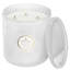 Eucalyptus And White Sage 5 Wick Hearth