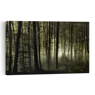 Sunlit Misty Forest Path Ethereal Peaceful Serene Autumn Forest Wall Art Print
