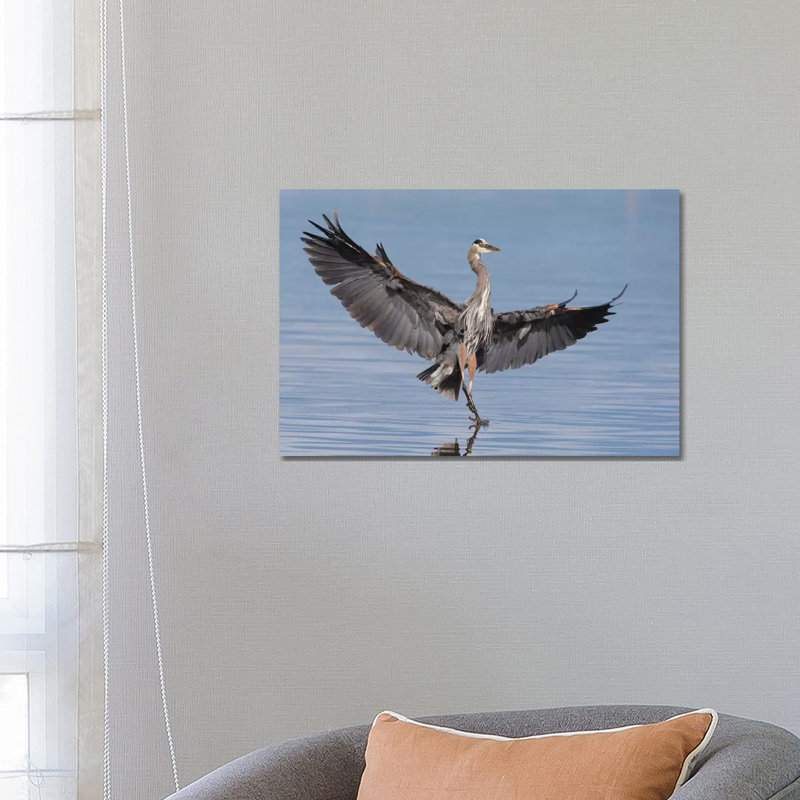 Great Blue Heron Alighting by Ken Archer - Wrapped Canvas Print, 66.04 cm H x 45.72 cm W x 1.91 cm D