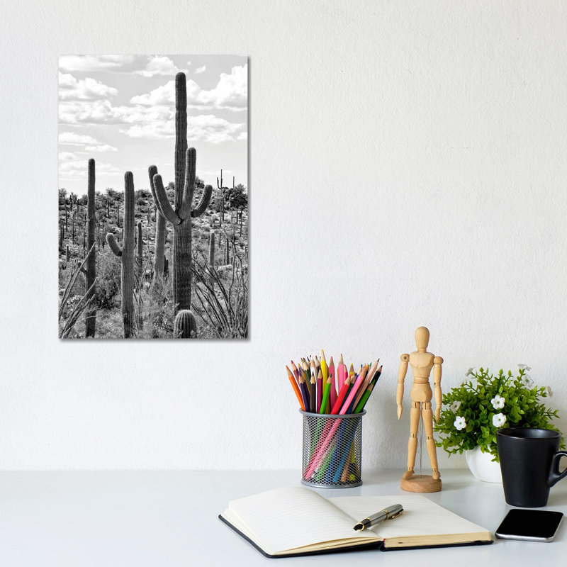 Black Arizona Series - Tucson Cactus - Wrapped Canvas Print, 20.32 cm H x 30.48 cm W