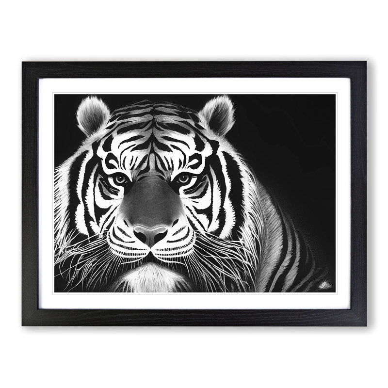 Tiger - Single Picture Frame Print, Black Framed, 46cm H x 64cm W