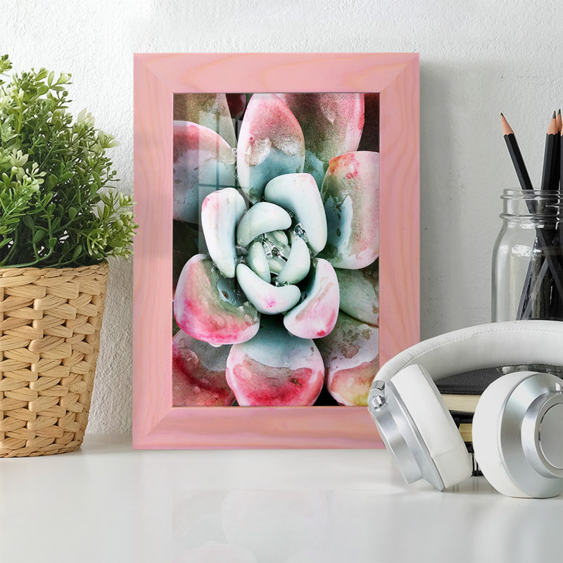 Pastel Succulent Beauty V, reproduction d'art sur papier, H 6 po x l 4 po x P 1 po, Rose