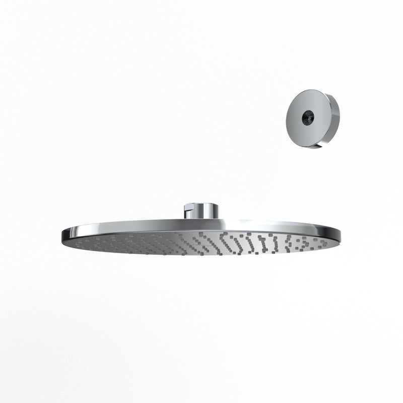 Rain Adjustable Shower Head, Polished Chrome