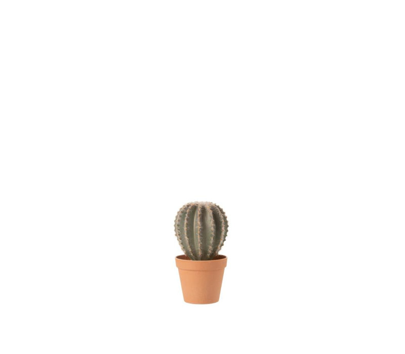 24 cm H Faux Cactus Plant in Plastic Pot