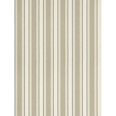 Arlo Stripe