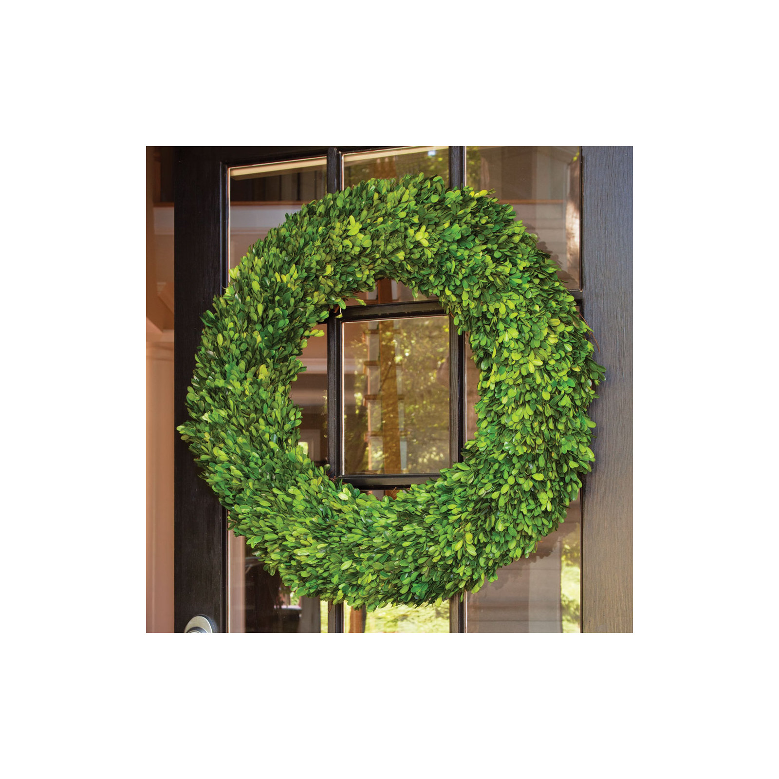 Alby Preserved Boxwood Wreath, 30" H x 31" W x 7" D