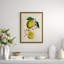 Lemons And Ribbons 2 Giclee Print