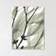 Eucalyptus Safari - Wrapped Canvas Print-1252129315