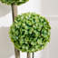 Topiaire faux buis en pot