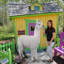 Statue de jardin alpaga Alpacalypse