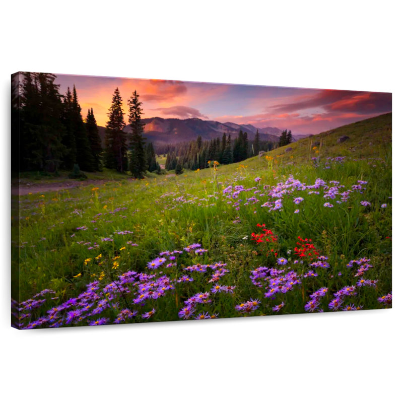 Alvord Rocky Mountains Wildflowers, H 30 po x l 45 po