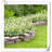Lillies Arrangement-983255569