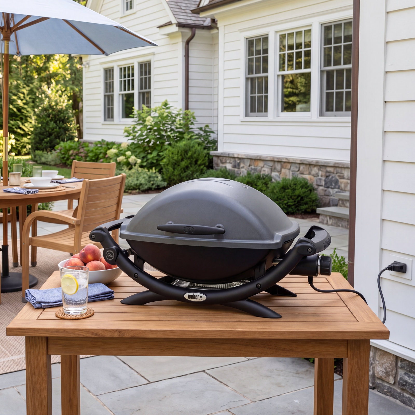 Q® Series Weber Q 2400 Electric Grill