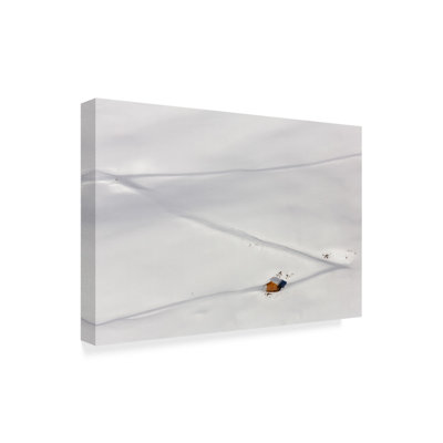 «Lost in The Snow», impression sur toile tendue