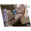 Pethold Goldorack-86915072