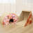 Carbon Fiber Nest Pet Bed