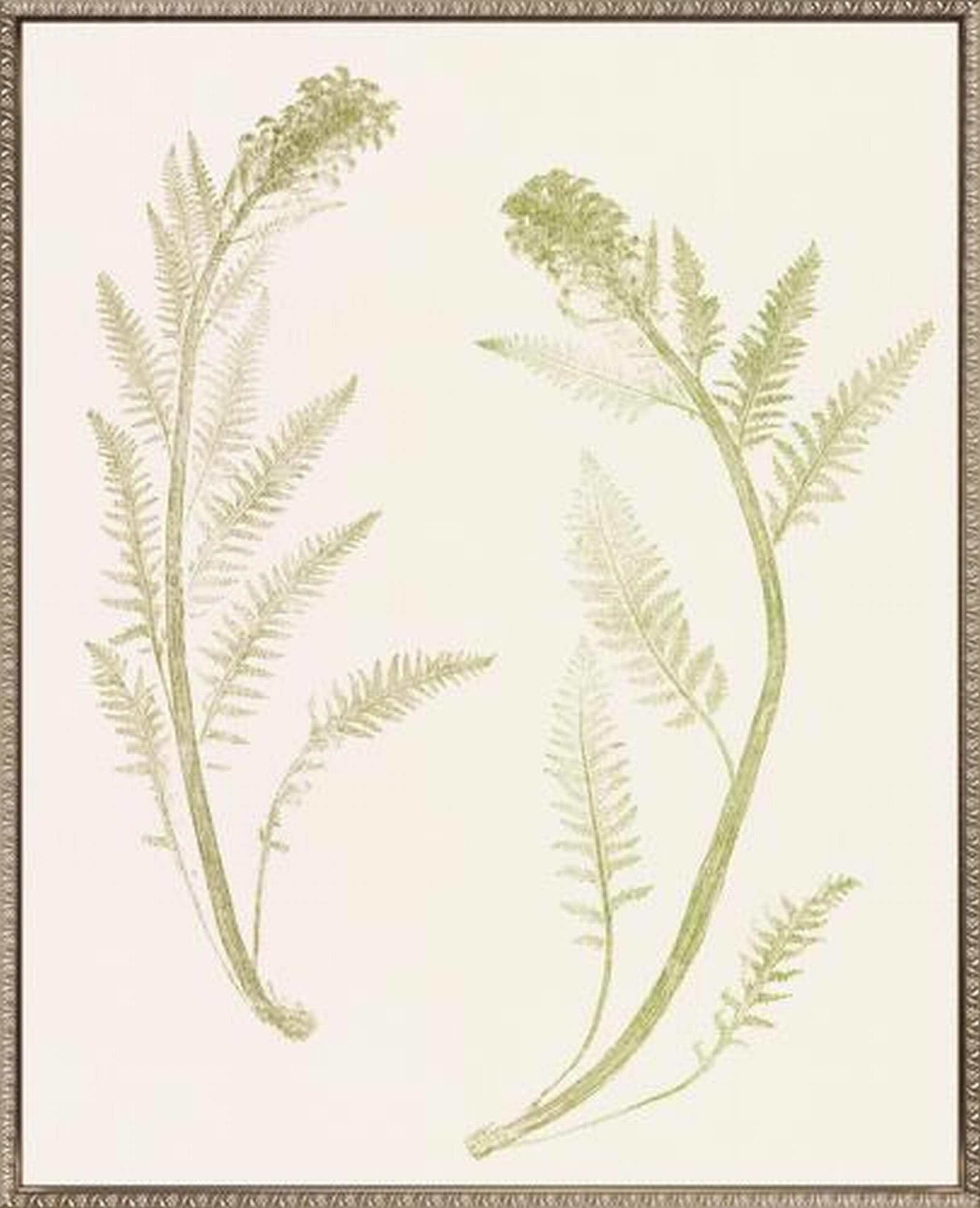 Dakota Fields Floral Trace II Canvas Wall Art | Wayfair