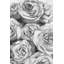 Wrapped Canvas Painting-34311809