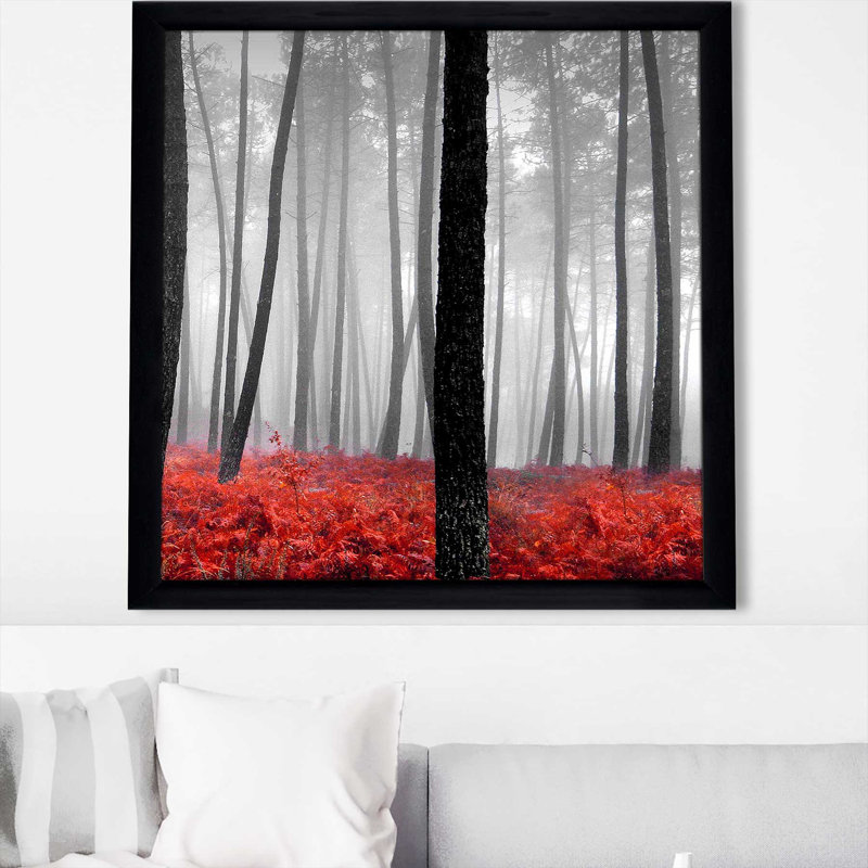 «Autumn Woods II» par Photoinc Studio - photographie, H 37,5 po x l 37,5 po x P 1 po, Cadre noir