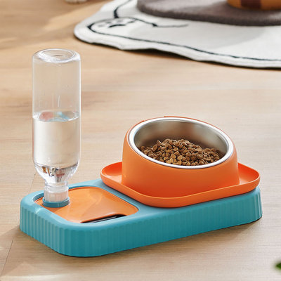 Cats Bowl