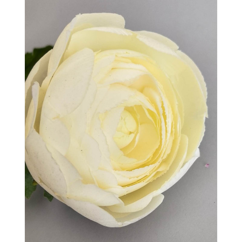 FRESH-TOUCH RT.RANUNCULUS X1F1B 22 po, Cream