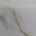 Carrara Marble
