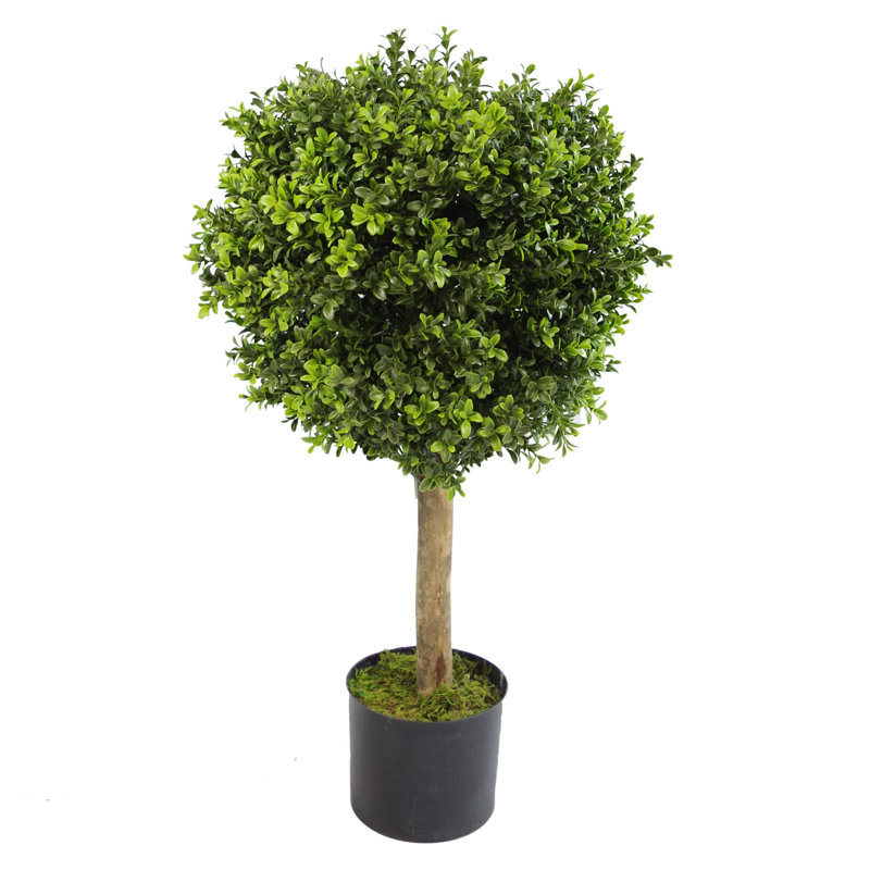 Anivea 80cm Faux Topiary Tree in Pot