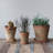 Hillengas Round Cement Planter with Saucer and Distressed Finish-1379896041