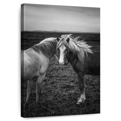 Brampt Loving Icelandic Horses
