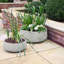 Fibreglass Plant Pot-39263427-39263428