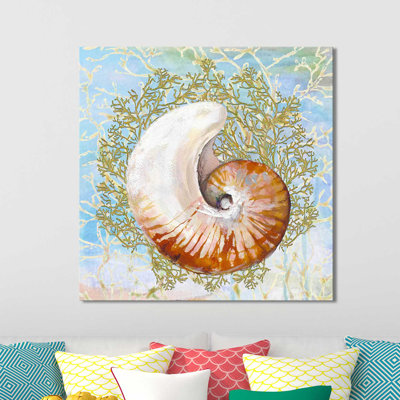 " Shell Medley I " by Diannart