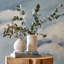 Air Wallpaper-581990210