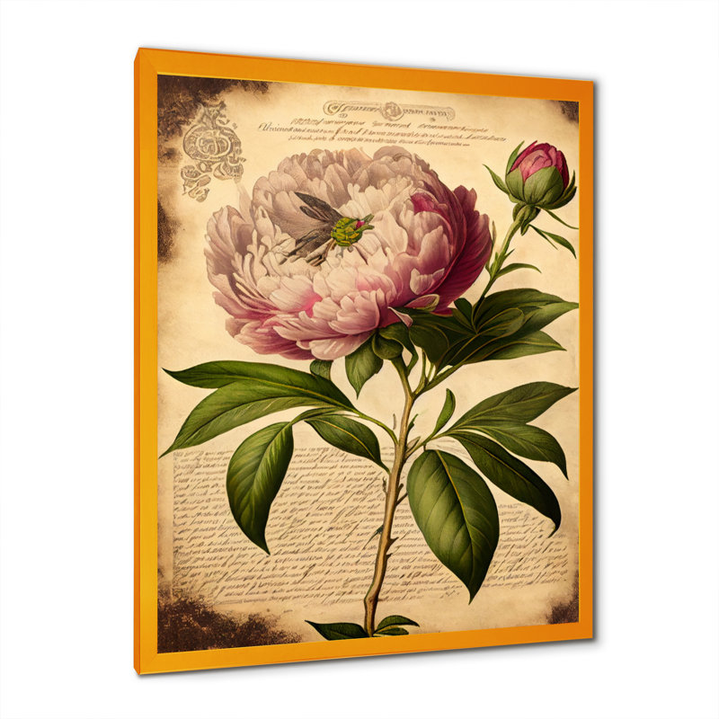 Pivoine rétro rose et blanche - reproduction sur toile, L 30 po x H 40 po, Cadre photo doré