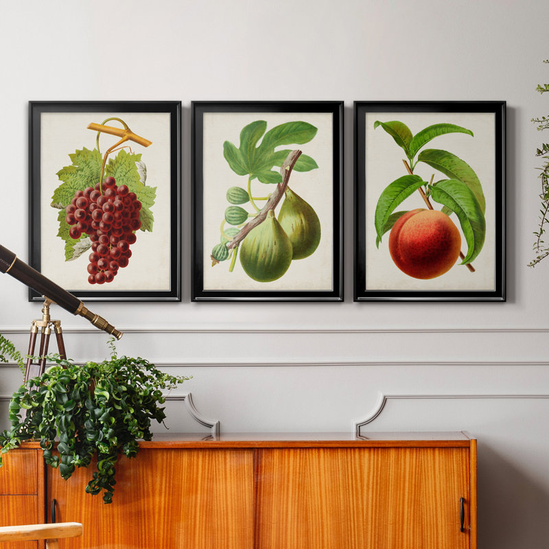 Antique Fruit III - ensemble de 3 impressions sur toile encadrées, Toile avec cadre noir, H 26,5 po x l 109,5 po x P 1,5 po