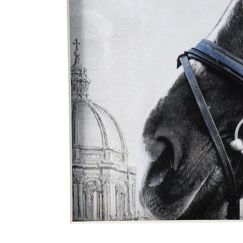 Ensemble de 2 impressions murales d'art animalier, 22 po x 22 po