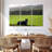 Brampt Dog Counting Sheep-108141314