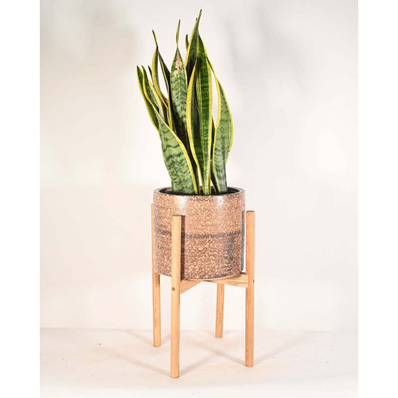 Heitzman Ceramic Pot Planter, Brown