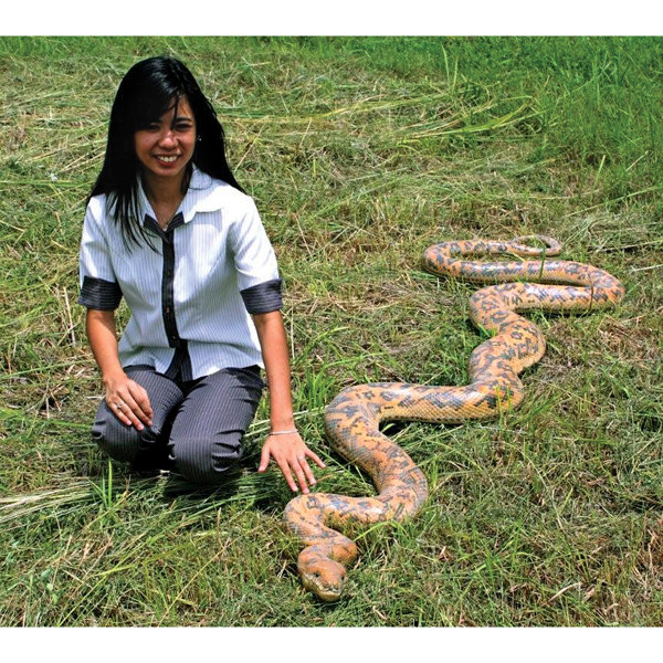 Design Toscano Giant Burmese Python Snake Statue | Wayfair
