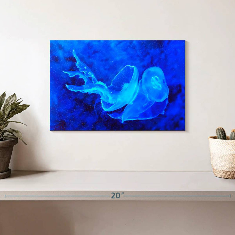 Brampt Bell Shaped Jellyfish, 8" H x 12" W